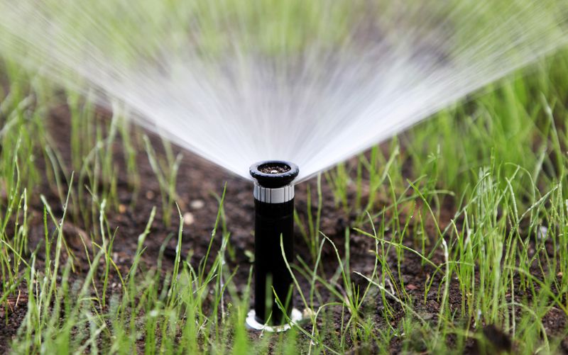 Irrigation service in Erlanger, KY
