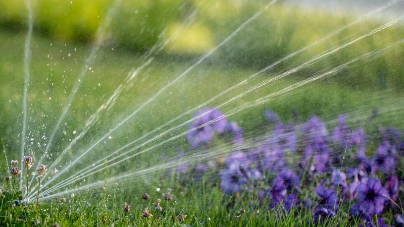 Irrigation service in Loveland, OH